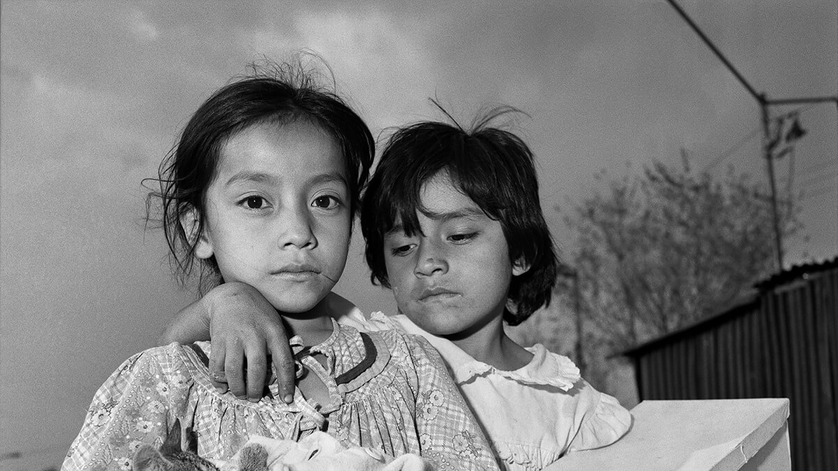 rosalind-fox-solomons