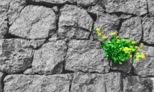 مشکلات کوچک